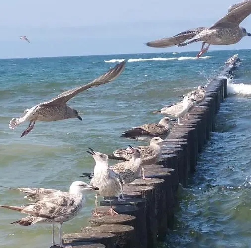 Royal Maris 4 - Najlepsza Lokalizacja W Ustce, Blisko Plazy I Portu, Bezplatny Parking, Scicsle Centrum Ustka