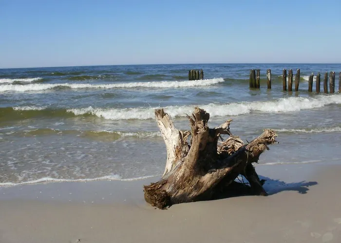 Royal Maris 4 - Najlepsza Lokalizacja W Ustce, Blisko Plazy I Portu, Bezplatny Parking, Scicsle Centrum * Устка